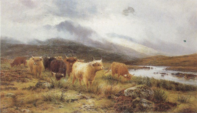 Highland Cattle on the Banks of a River (mk37)